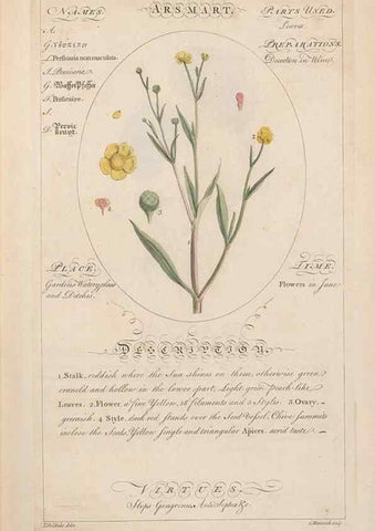 Reproducción/Reproduction 49788385112: Botanicum medicinale :. London :Printed for J. Millan, opposite the Admiralty, Whitehall,[1768?]. 