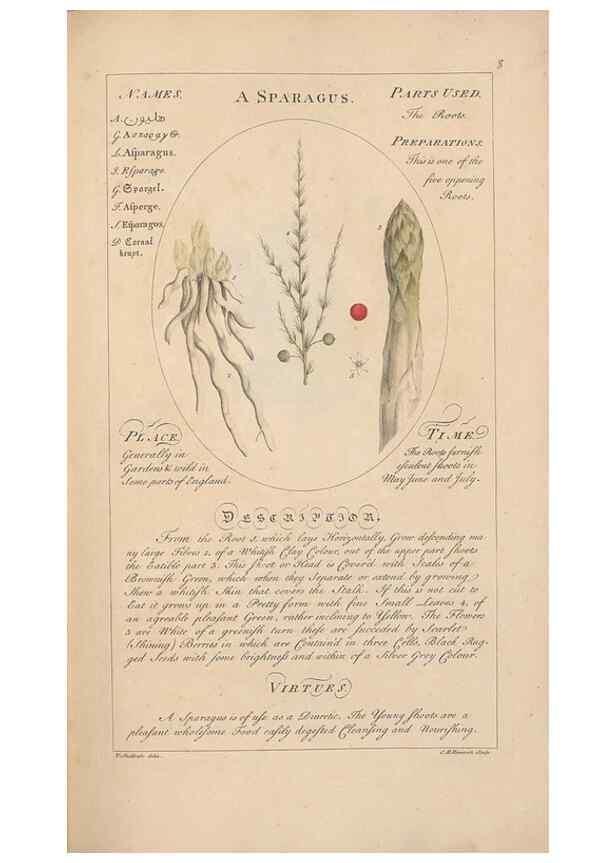 Reproducción/Reproduction 49788065031: Botanicum medicinale :. London :Printed for J. Millan, opposite the Admiralty, Whitehall,[1768?]. 