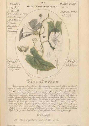 Reproducción/Reproduction 49788065896: Botanicum medicinale :. London :Printed for J. Millan, opposite the Admiralty, Whitehall,[1768?]. 