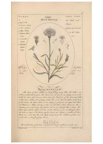 Reproducción/Reproduction 49788386457: Botanicum medicinale :. London :Printed for J. Millan, opposite the Admiralty, Whitehall,[1768?]. 