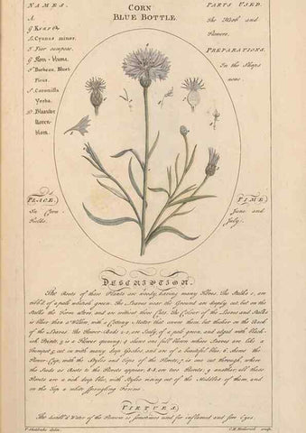 Reproducción/Reproduction 49788386457: Botanicum medicinale :. London :Printed for J. Millan, opposite the Admiralty, Whitehall,[1768?]. 