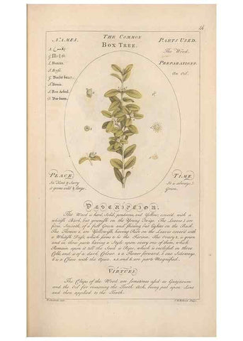 Reproducción/Reproduction 49788066286: Botanicum medicinale :. London :Printed for J. Millan, opposite the Admiralty, Whitehall,[1768?]. 