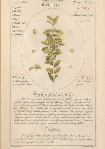 Reproducción/Reproduction 49788066286: Botanicum medicinale :. London :Printed for J. Millan, opposite the Admiralty, Whitehall,[1768?]. 