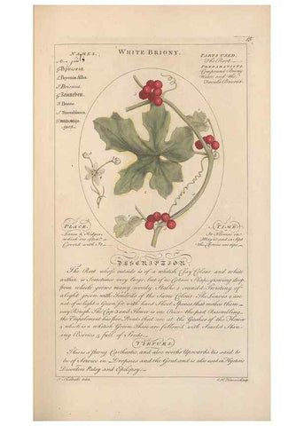 Reproducción/Reproduction 49788386832: Botanicum medicinale :. London :Printed for J. Millan, opposite the Admiralty, Whitehall,[1768?]. 