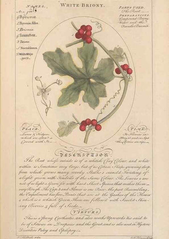 Reproducción/Reproduction 49788386832: Botanicum medicinale :. London :Printed for J. Millan, opposite the Admiralty, Whitehall,[1768?]. 