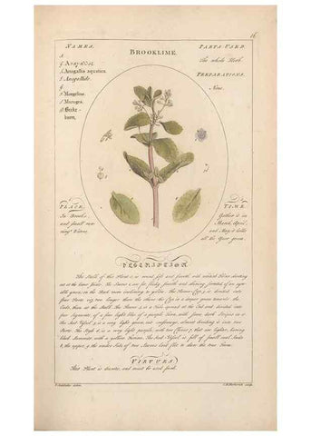 Reproducción/Reproduction 49788387027: Botanicum medicinale :. London :Printed for J. Millan, opposite the Admiralty, Whitehall,[1768?]. 