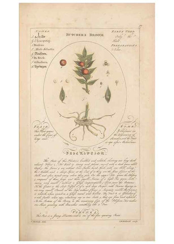 Reproducción/Reproduction 49788387352: Botanicum medicinale :. London :Printed for J. Millan, opposite the Admiralty, Whitehall,[1768?]. 