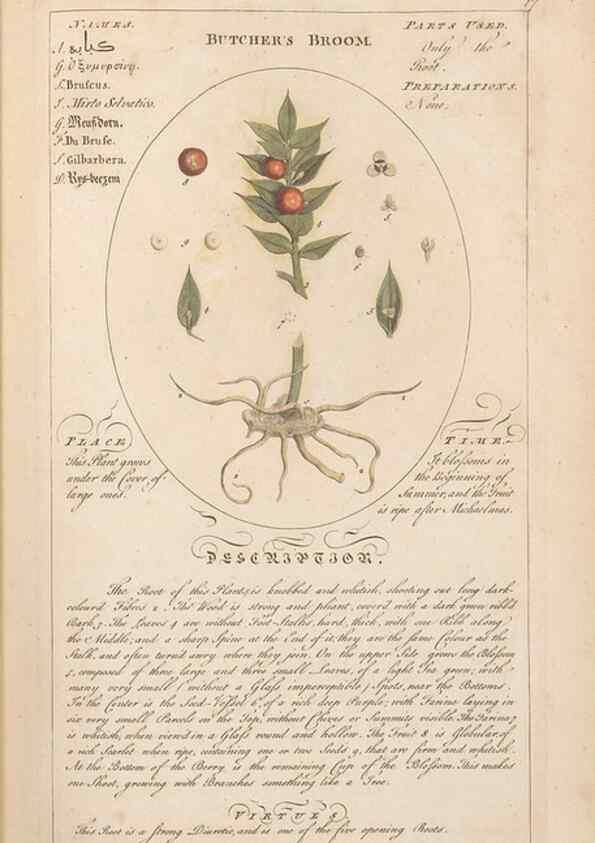 Reproducción/Reproduction 49788387352: Botanicum medicinale :. London :Printed for J. Millan, opposite the Admiralty, Whitehall,[1768?]. 