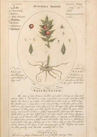 Reproducción/Reproduction 49788387352: Botanicum medicinale :. London :Printed for J. Millan, opposite the Admiralty, Whitehall,[1768?]. 