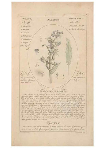 Reproducción/Reproduction 49788063716: Botanicum medicinale :. London :Printed for J. Millan, opposite the Admiralty, Whitehall,[1768?]. 