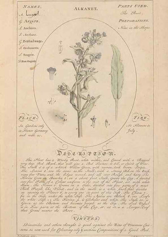 Reproducción/Reproduction 49788063716: Botanicum medicinale :. London :Printed for J. Millan, opposite the Admiralty, Whitehall,[1768?]. 