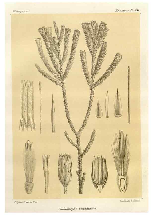 Reproducción/Reproduction 49786128851: Histoire physique, naturelle, et politique de Madagascar. Paris :Impr. nationale,1885-. 