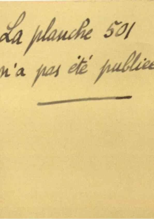 Reproducción/Reproduction 49786448397: Histoire physique, naturelle, et politique de Madagascar. Paris :Impr. nationale,1885-. 