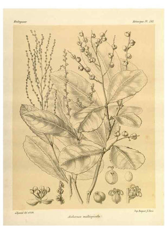 Reproducción/Reproduction 49786240587: Histoire physique, naturelle, et politique de Madagascar. Paris :Impr. nationale,1885-. 