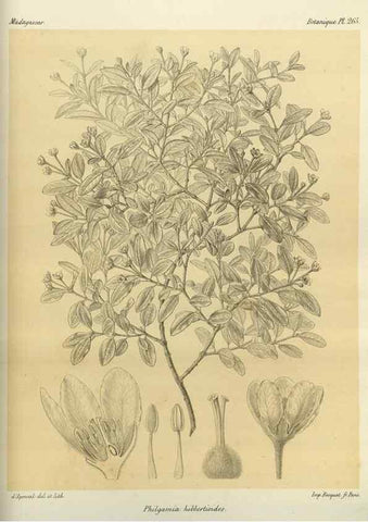 Reproducción/Reproduction 49786026586: Histoire physique, naturelle, et politique de Madagascar. Paris :Impr. nationale,1885-. 
