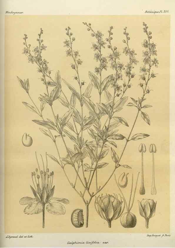 Reproducción/Reproduction 49786026076: Histoire physique, naturelle, et politique de Madagascar. Paris :Impr. nationale,1885-. 