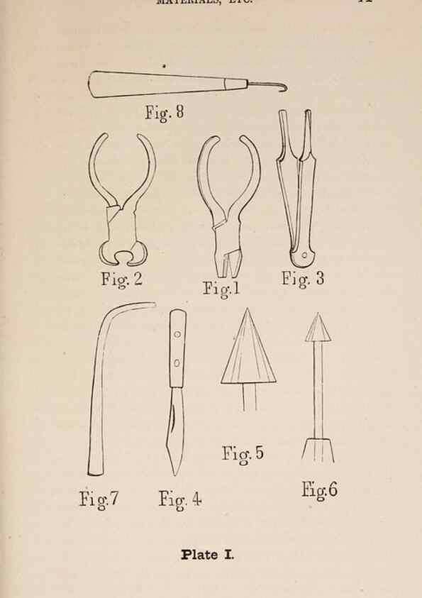 Reproducción/Reproduction 49786003621: The naturalist's guide in collecting and preserving objects of natural history,. Boston,Fields, Osgood & co.,1870.. 