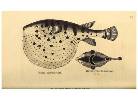 Reproducción/Reproduction 49826538433: General zoology, or Systematic natural history. London,Printed for G. Kearsley,1800-1826.. 