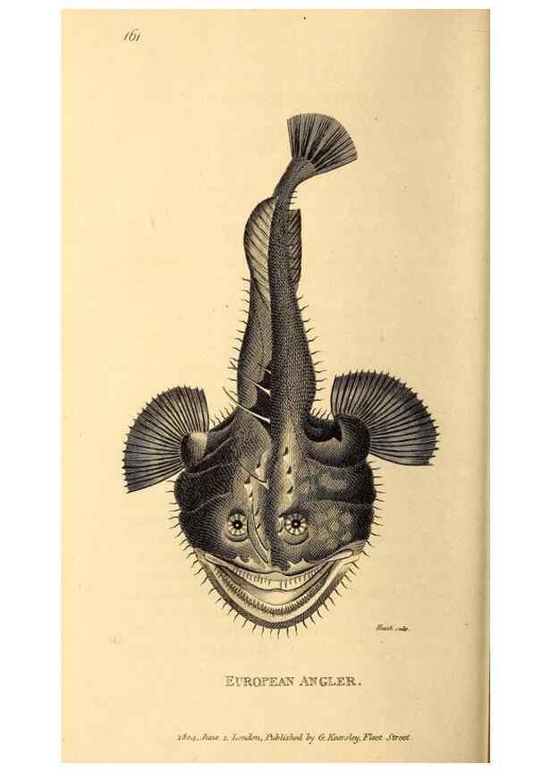 Reproducción/Reproduction 49826534273: General zoology, or Systematic natural history. London,Printed for G. Kearsley,1800-1826.. 