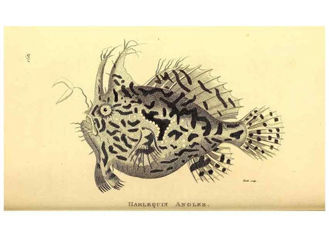 Reproducción/Reproduction 49827381257: General zoology, or Systematic natural history. London,Printed for G. Kearsley,1800-1826.. 