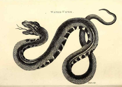 Reproducción/Reproduction 49827185477: General zoology, or Systematic natural history. London,Printed for G. Kearsley,1800-1826.. 