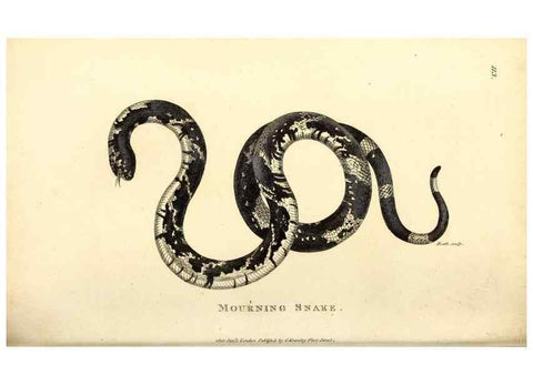 Reproducción/Reproduction 49827186397: General zoology, or Systematic natural history. London,Printed for G. Kearsley,1800-1826.. 