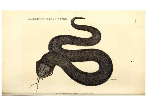 Reproducción/Reproduction 49826867481: General zoology, or Systematic natural history. London,Printed for G. Kearsley,1800-1826.. 