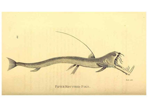 Reproducción/Reproduction 49826519538: General zoology, or Systematic natural history. London,Printed for G. Kearsley,1800-1826.. 