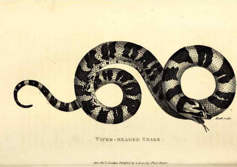 Reproducción/Reproduction 49826340543: General zoology, or Systematic natural history. London,Printed for G. Kearsley,1800-1826.. 