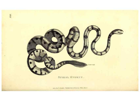 Reproducción/Reproduction 49826875471: General zoology, or Systematic natural history. London,Printed for G. Kearsley,1800-1826.. 