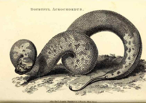 Reproducción/Reproduction 49826876471: General zoology, or Systematic natural history. London,Printed for G. Kearsley,1800-1826.. 