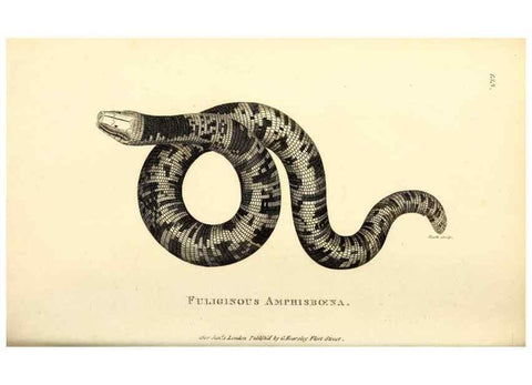 Reproducción/Reproduction 49827193752: General zoology, or Systematic natural history. London,Printed for G. Kearsley,1800-1826.. 