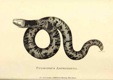 Reproducción/Reproduction 49827193752: General zoology, or Systematic natural history. London,Printed for G. Kearsley,1800-1826.. 
