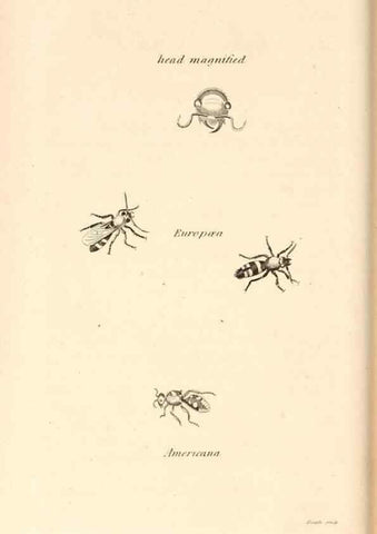 Reproducción/Reproduction 49830173042: General zoology, or Systematic natural history. London,Printed for G. Kearsley,1800-1826.. 