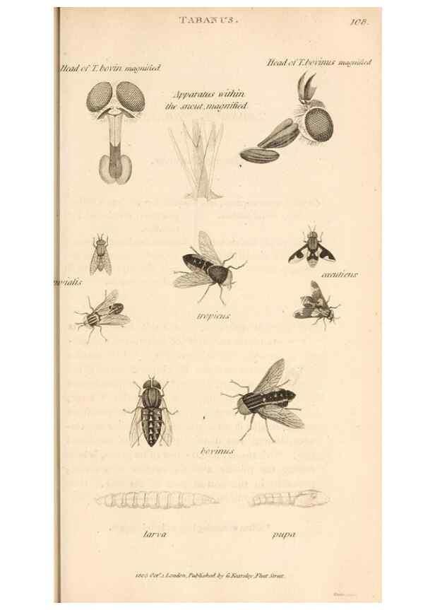 Reproducción/Reproduction 49829866321: General zoology, or Systematic natural history. London,Printed for G. Kearsley,1800-1826.. 