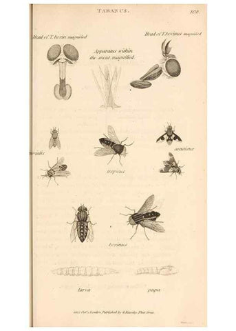 Reproducción/Reproduction 49829866321: General zoology, or Systematic natural history. London,Printed for G. Kearsley,1800-1826.. 