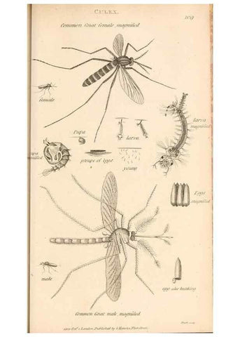 Reproducción/Reproduction 49829337083: General zoology, or Systematic natural history. London,Printed for G. Kearsley,1800-1826.. 