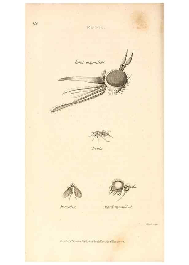 Reproducción/Reproduction 49829337428: General zoology, or Systematic natural history. London,Printed for G. Kearsley,1800-1826.. 