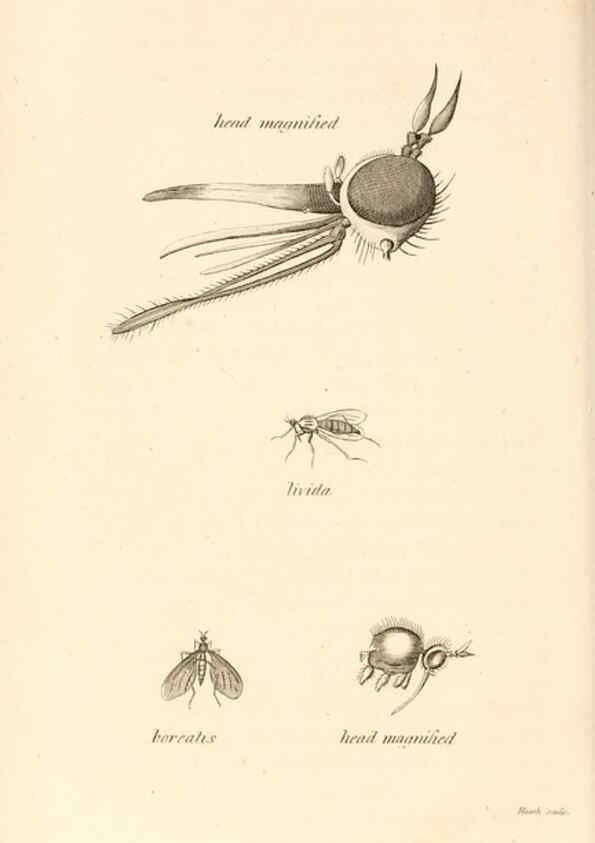 Reproducción/Reproduction 49829337428: General zoology, or Systematic natural history. London,Printed for G. Kearsley,1800-1826.. 