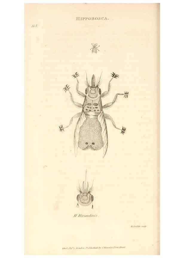 Reproducción/Reproduction 49829339038: General zoology, or Systematic natural history. London,Printed for G. Kearsley,1800-1826.. 