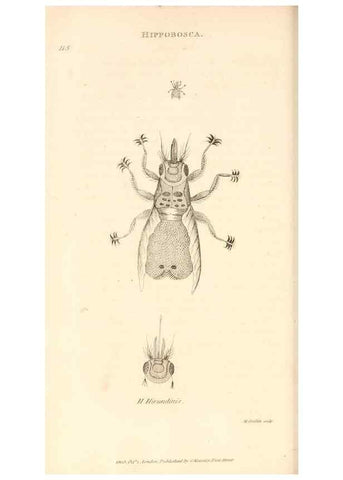 Reproducción/Reproduction 49829339038: General zoology, or Systematic natural history. London,Printed for G. Kearsley,1800-1826.. 