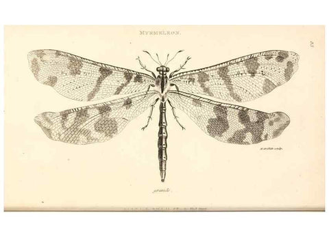 Reproducción/Reproduction 49829858681: General zoology, or Systematic natural history. London,Printed for G. Kearsley,1800-1826.. 