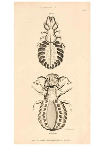 Reproducción/Reproduction 49830178792: General zoology, or Systematic natural history. London,Printed for G. Kearsley,1800-1826.. 