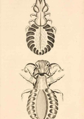 Reproducción/Reproduction 49830178792: General zoology, or Systematic natural history. London,Printed for G. Kearsley,1800-1826.. 