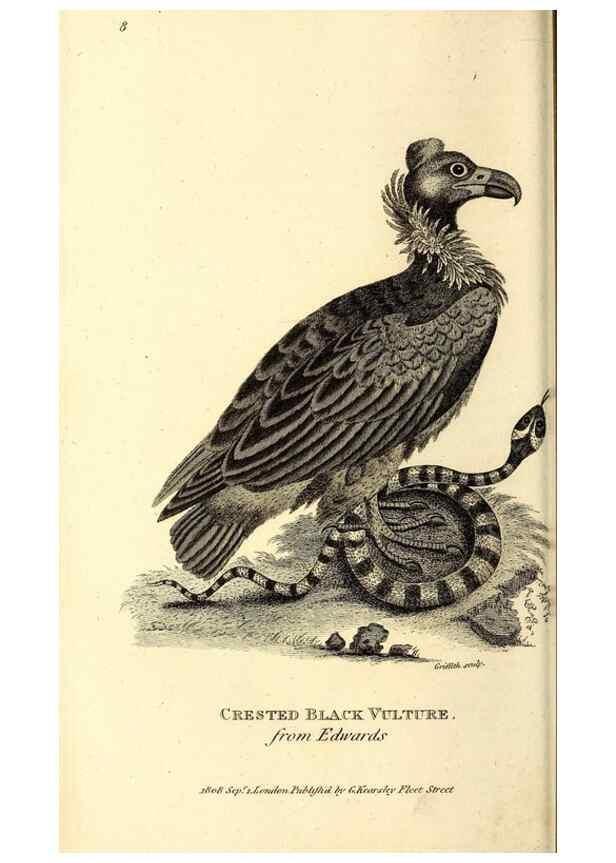 Reproducción/Reproduction 49830361892: General zoology, or Systematic natural history. London,Printed for G. Kearsley,1800-1826.. 