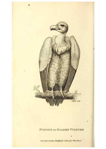 Reproducción/Reproduction 49829524108: General zoology, or Systematic natural history. London,Printed for G. Kearsley,1800-1826.. 