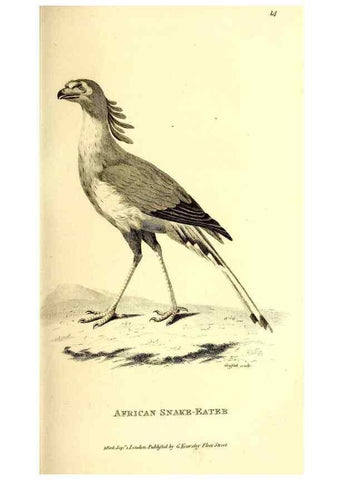 Reproducción/Reproduction 49830056361: General zoology, or Systematic natural history. London,Printed for G. Kearsley,1800-1826.. 