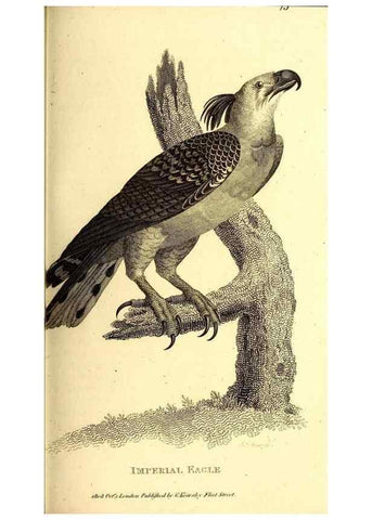 Reproducción/Reproduction 49829525503: General zoology, or Systematic natural history. London,Printed for G. Kearsley,1800-1826.. 