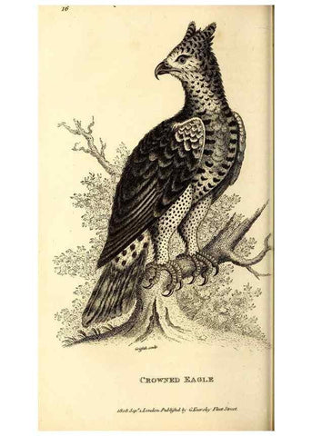 Reproducción/Reproduction 49829525933: General zoology, or Systematic natural history. London,Printed for G. Kearsley,1800-1826.. 