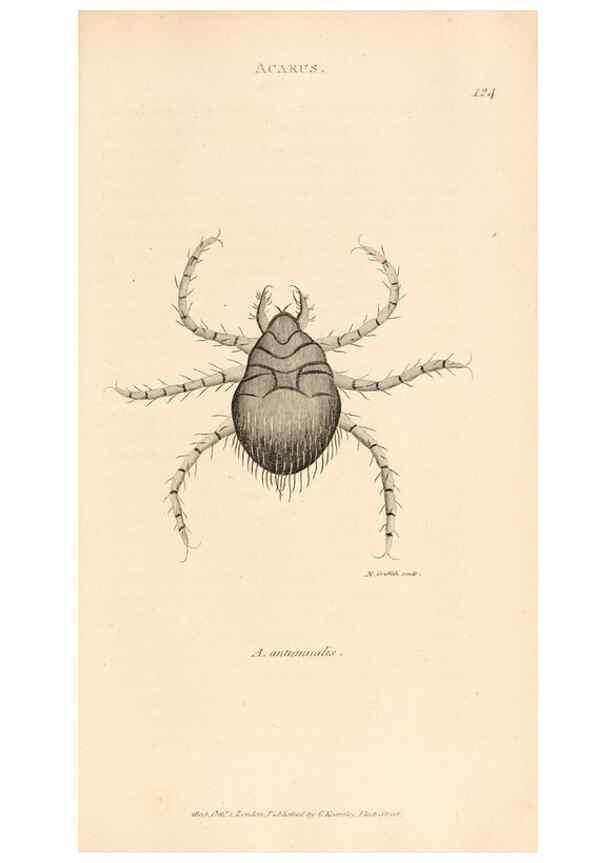 Reproducción/Reproduction 49829341973: General zoology, or Systematic natural history. London,Printed for G. Kearsley,1800-1826.. 
